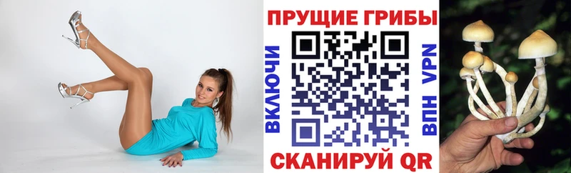 Галлюциногенные грибы мухоморы Нефтекамск