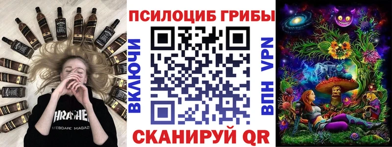 Галлюциногенные грибы Psilocybe  Купить закладки  Нефтекамск 